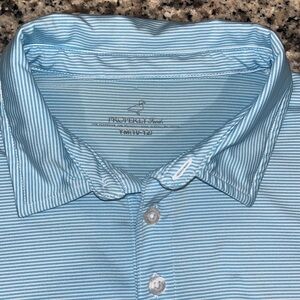 Light Blue Polo Shirt with Standard Collar and Striped Pattern